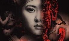 蝎子 在线观看,揭秘神秘生物的生存智慧与致命魅力